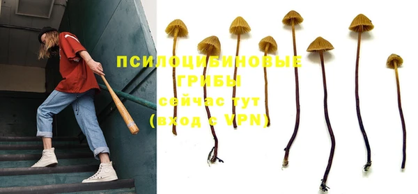 кокаин премиум Богданович