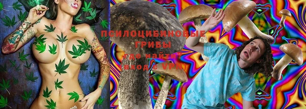 гашиш Богородицк