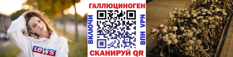 Псилоцибиновые грибы прущие грибы  где найти   KRAKEN зеркало  Острогожск 